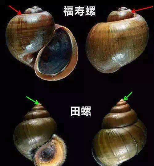 微信圖片_20250714135933.png