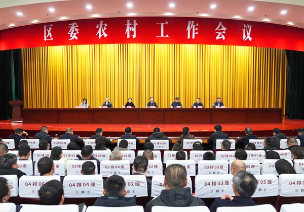 2月20日下午，區(qū)委召開(kāi)農(nóng)村工作會(huì)議。徐浩翔 攝 (1).jpg