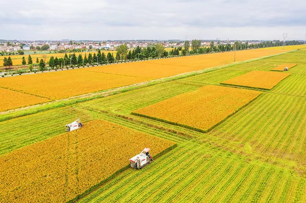 通州處處10.30.jpg 通州處處10.30.jpg