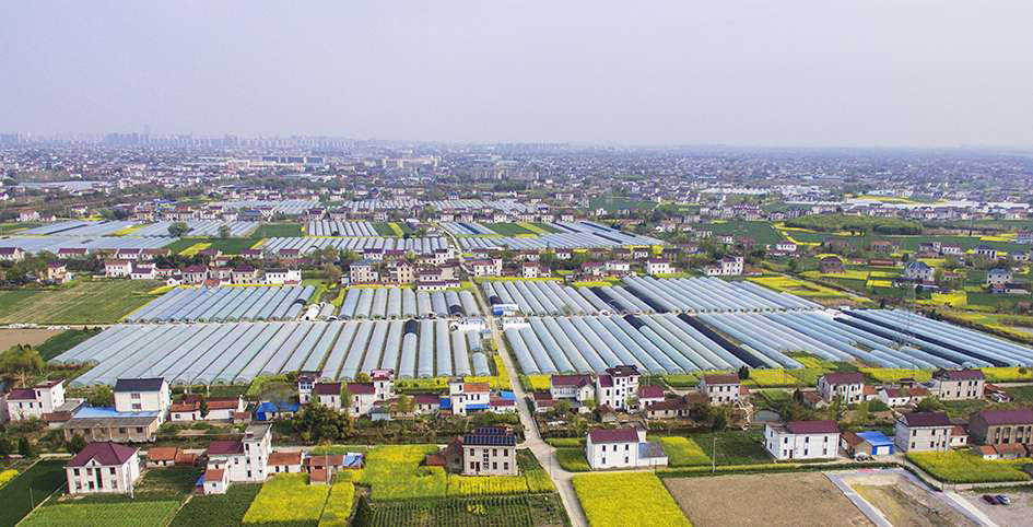 西亭鎮(zhèn)草廟村2.4.png 西亭鎮(zhèn)草廟村2.4.png