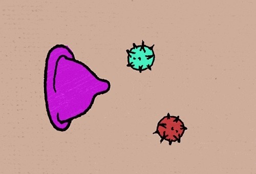 微信圖片_2025-12-01_091353_924.jpg 微信圖片_2025-12-01_091353_924.jpg